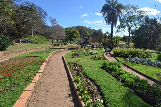 Fundacao Zoo-Botanica de Belo Horizonte