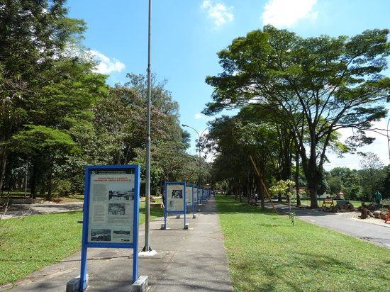 Instituto Butantan