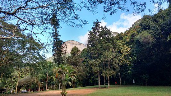 Parque da Cidade