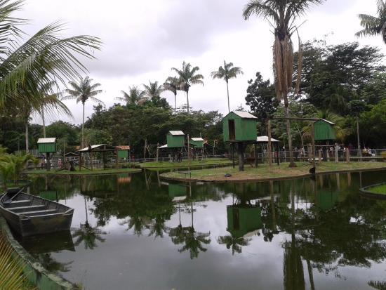 Zoológico do CIGS