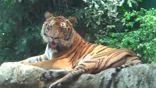 Zoológico de Dusit