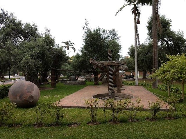 Forest El Olivar