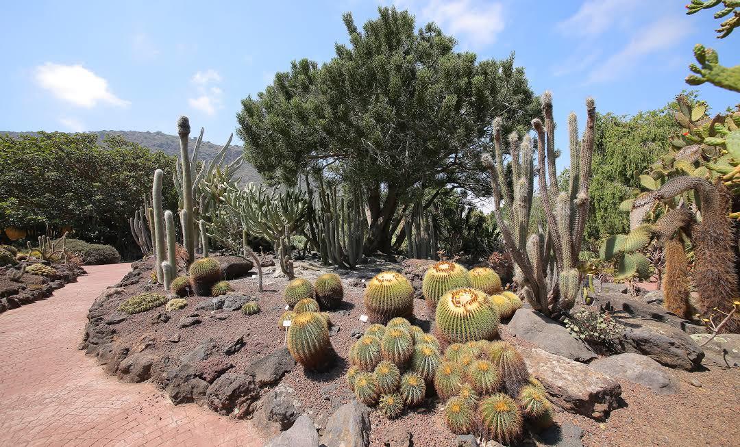 Jardim Botânico Histórico