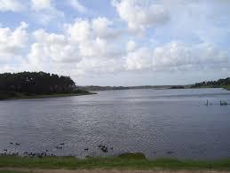 Laguna del Diario