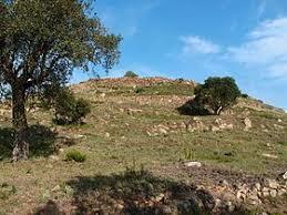 Poblat visigotic del Puig Rom