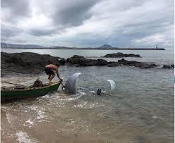 Praia de Cabeçudas