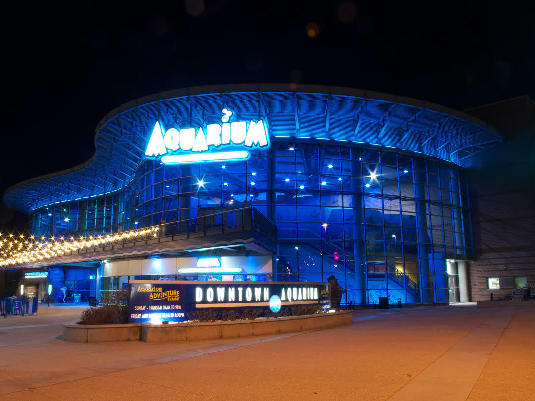 Downtown Aquarium
