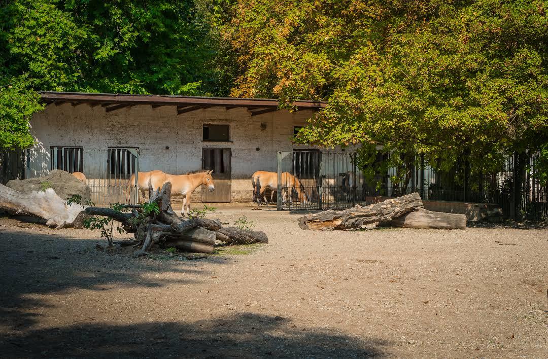 Zoo de Leipzig