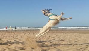 Playa Can