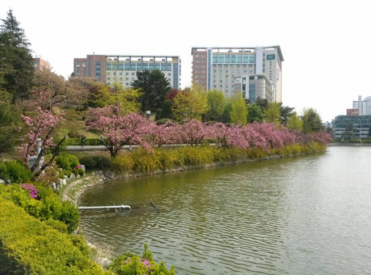 Universidade de Konkuk
