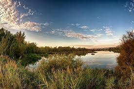 Laguna El Campillo