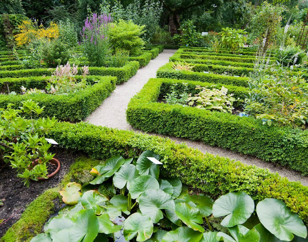 Jardín Botánico