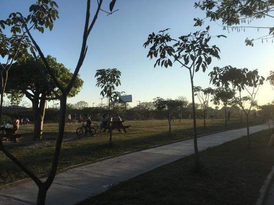 Bicentennial Park