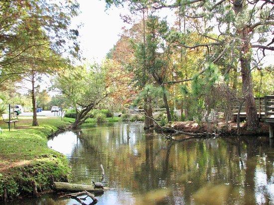 McGough Nature Park