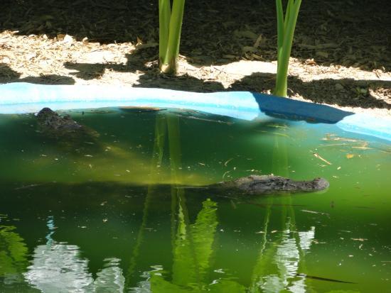 Parque Zoobotânico de Salvador