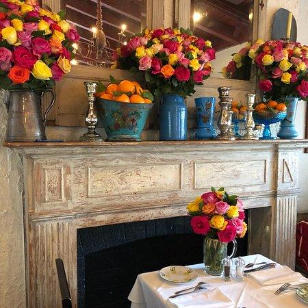 The Ivy