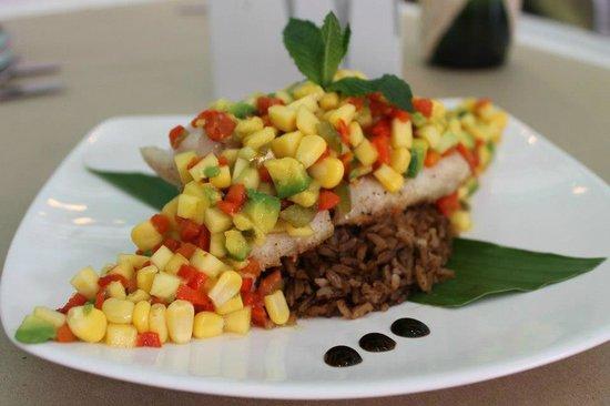Nativo Restaurante