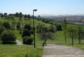 Pericones Park