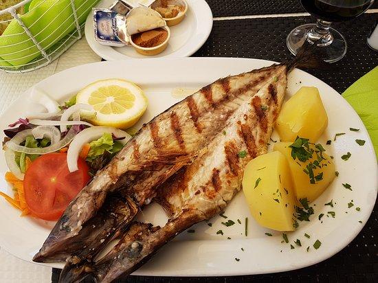 Restaurant O Veleiro
