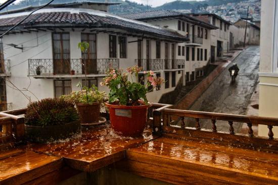 Mote Colonial