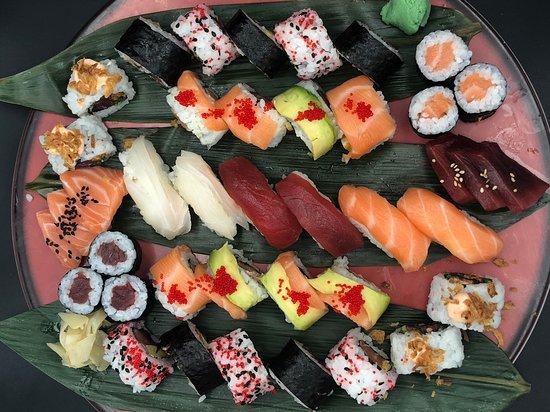 Kiku Japones