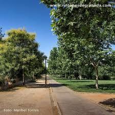 Parque Tico Medina