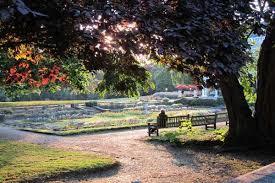 Cannizaro Park