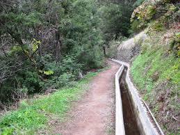 Levada do Caniçal - Machico