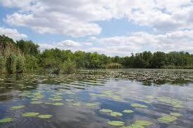 Seddinsee