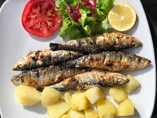 Picnic-D'Agua