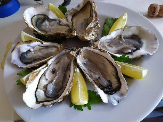 Il Triangolo Del Gusto