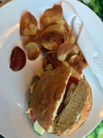 Vegan Vacation
