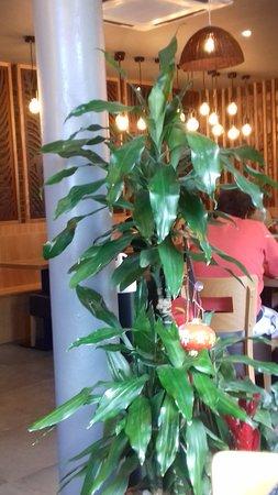 Pho Gambetta