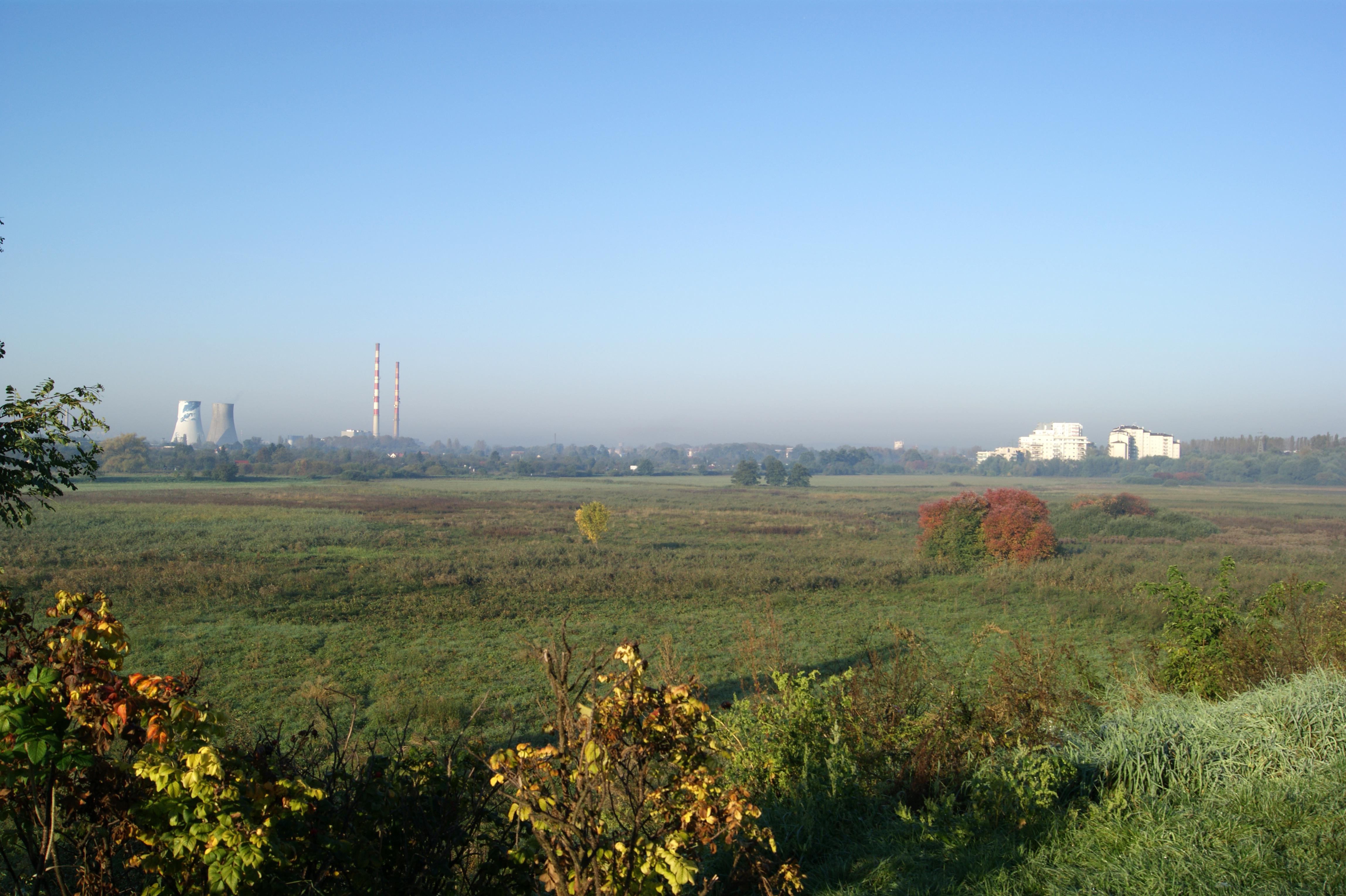 Nowa Huta Meadows