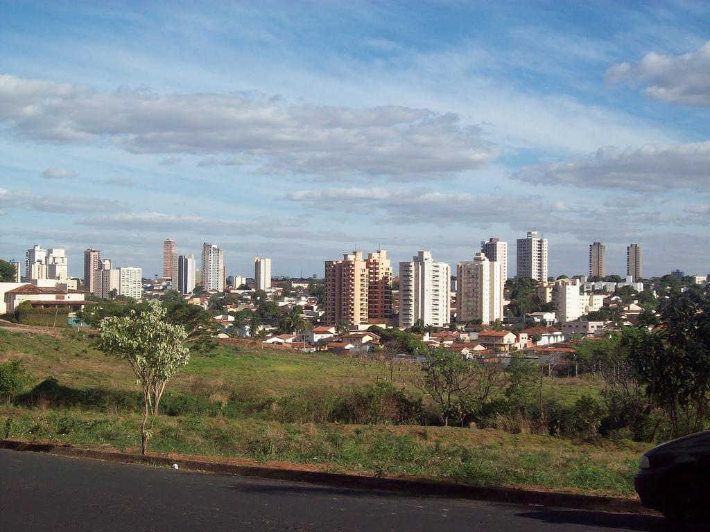 Jacaranda Park