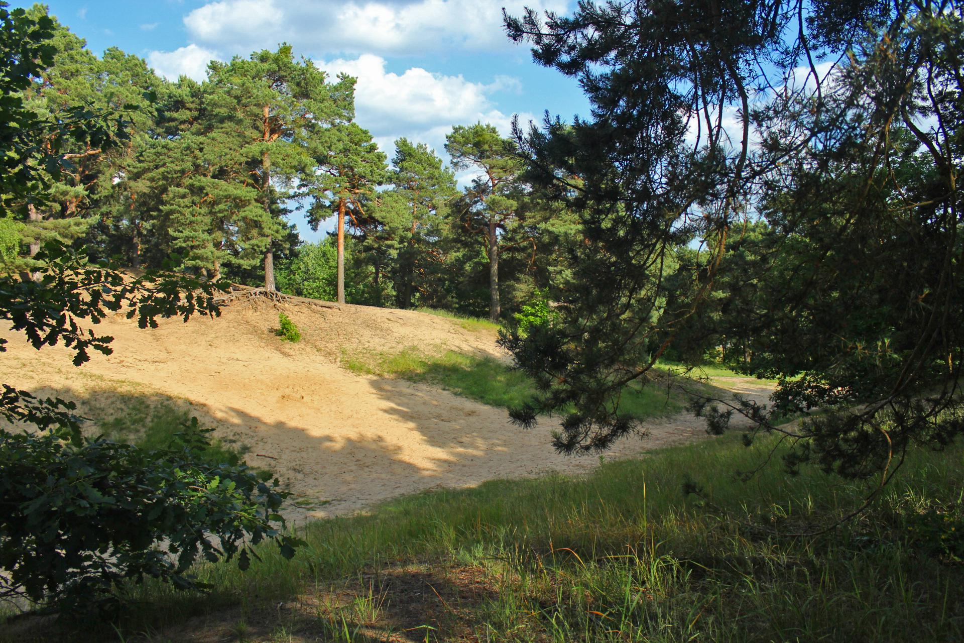 Wilhelmshagen-Woltersdorfer Dunenzug