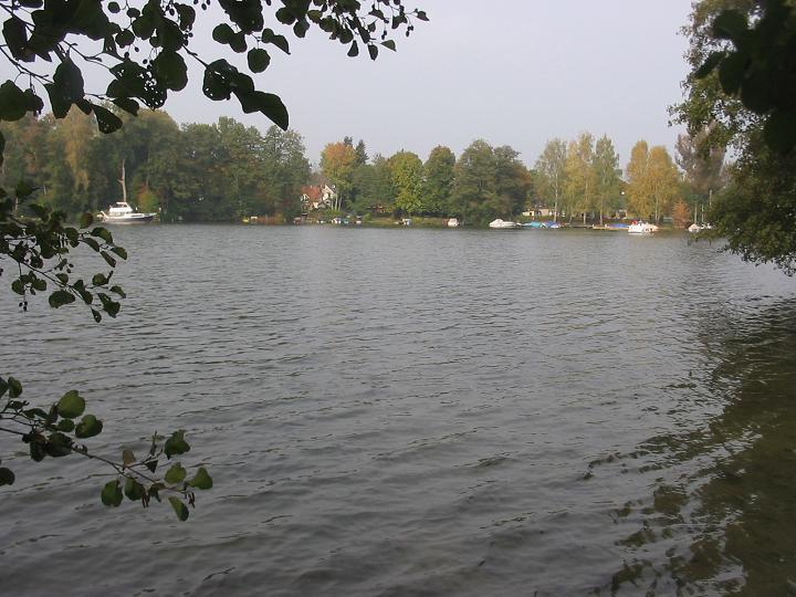 Crossinsee