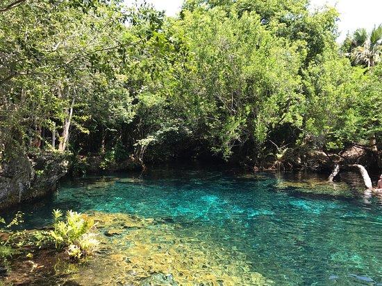 Parque Ecológico Ojos Indígenas