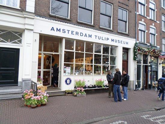Museo del Tulipán de Ámsterdam