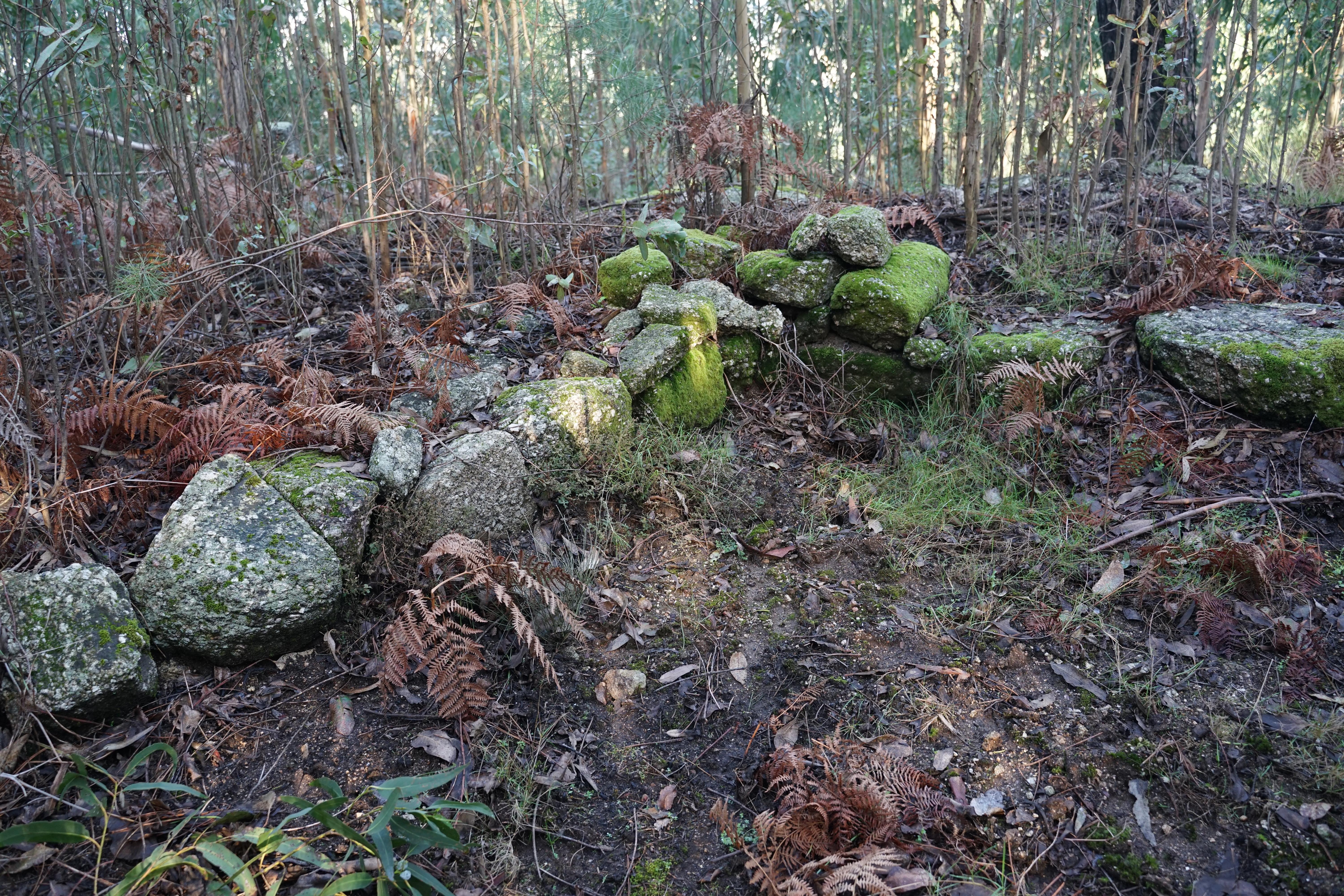 Castro de Monte Redondo