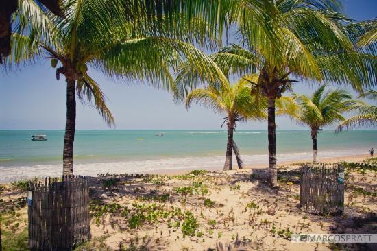 Praia de Guarajuba