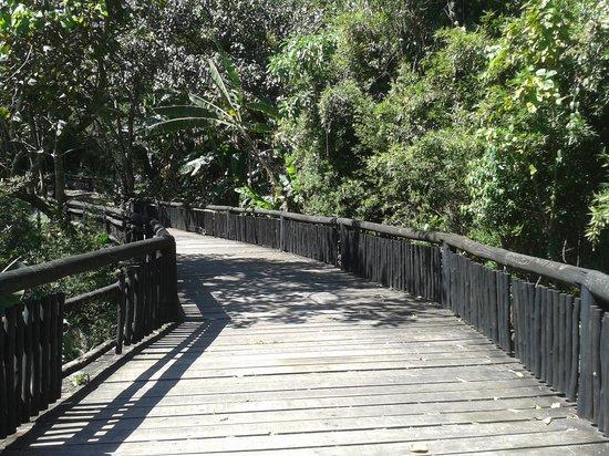 Parque Chico Mendes