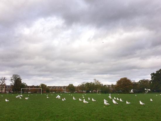 Tooting Bec Common