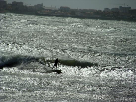 Alex Surf School
