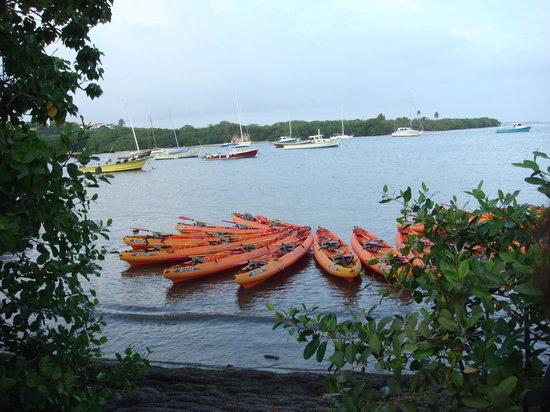 Puerto Rico Bio Bay Tours LLC
