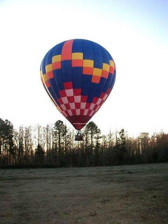 Painted Horizons Hot Air Balloon Tours