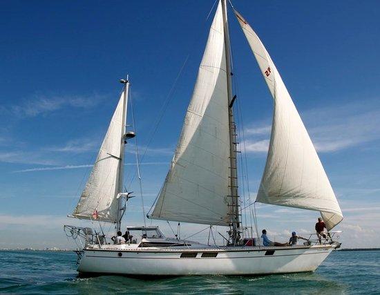Kiskeedee Sailing Charters