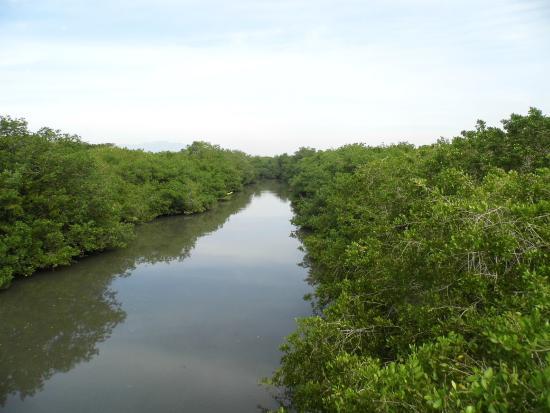 Aventurate por el Salado
