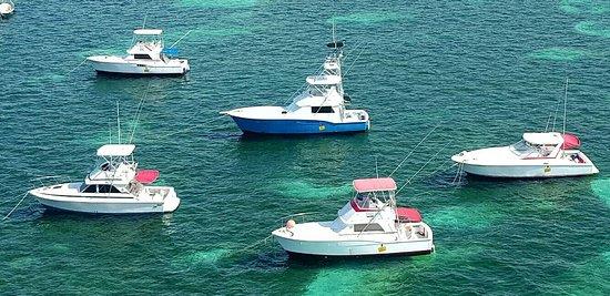 Gone Fishing Punta Cana