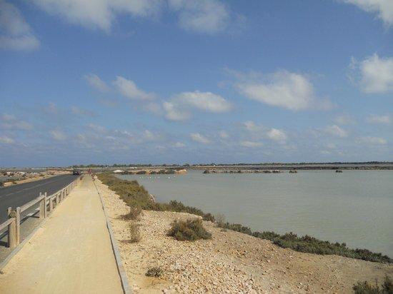 Parque Regional Salinas